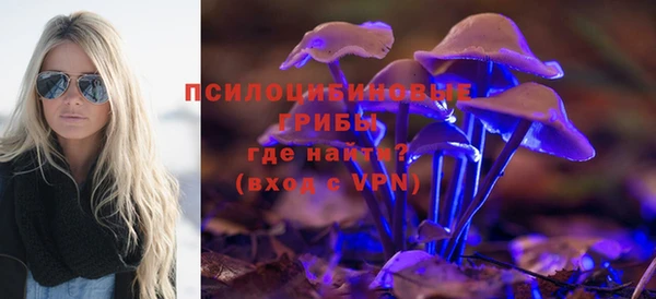 мяу мяу мука Арсеньев
