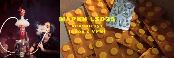 ГАЛЛЮЦИНОГЕННЫЕ ГРИБЫ Аркадак
