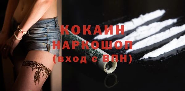 ГАЛЛЮЦИНОГЕННЫЕ ГРИБЫ Аркадак