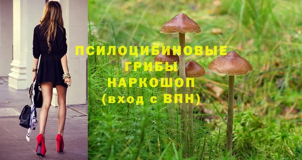 мяу мяу мука Арсеньев