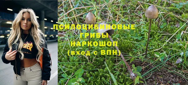 прущая мука Армянск