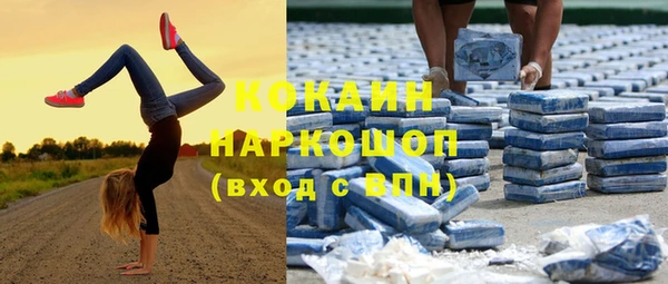 ГАЛЛЮЦИНОГЕННЫЕ ГРИБЫ Аркадак
