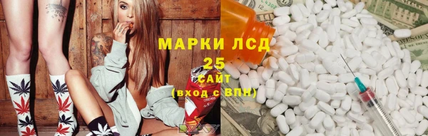 ГАЛЛЮЦИНОГЕННЫЕ ГРИБЫ Аркадак