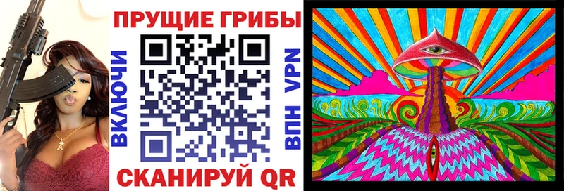 цена   Прохладный  Галлюциногенные грибы Psilocybine cubensis 